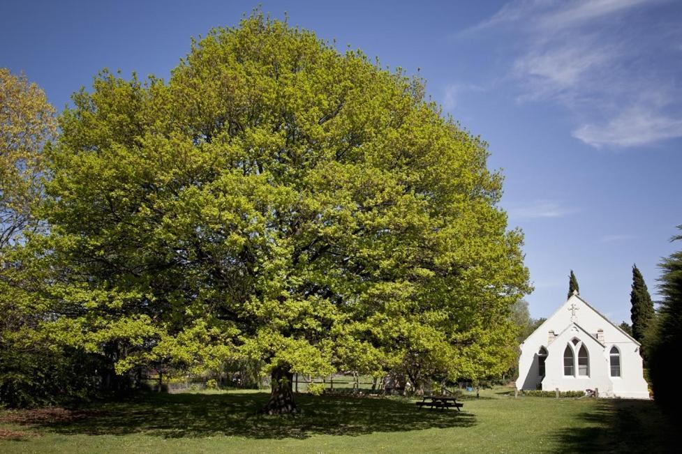 Villa The Holy Oaks Duntroon Esterno foto